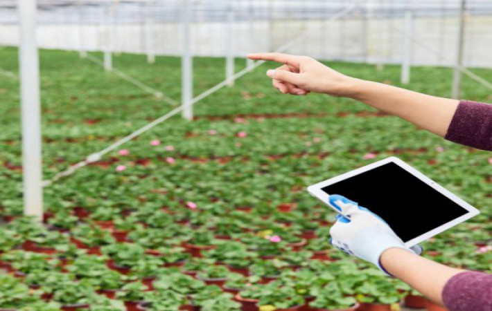 beats365(中国区)-唯一官方网站