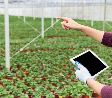 beats365(中国区)-唯一官方网站